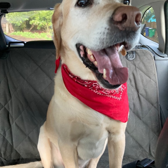 Meet your Posher, Ashley - Picture 2 of 2